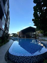 Phoenix Residences (D23), Apartment #501635321